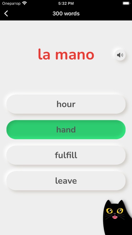 Learn Spanish: 5000 Words