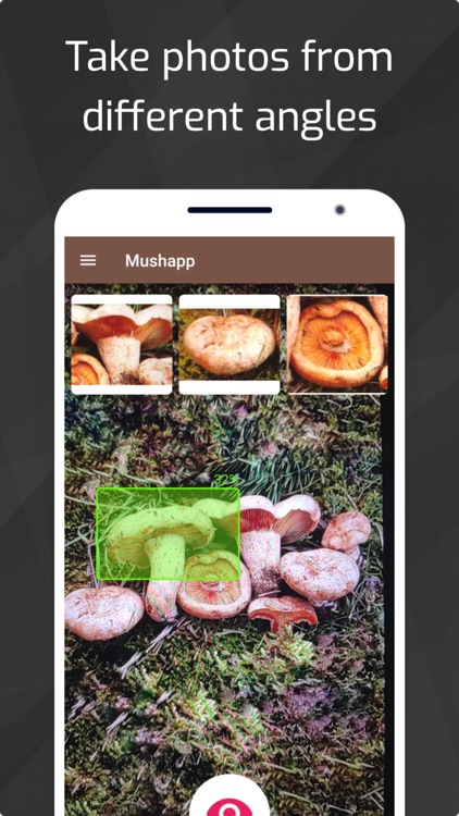 Mushrooms - AI Identifier PRO