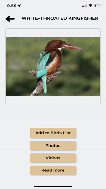 BirdCode screenshot-4