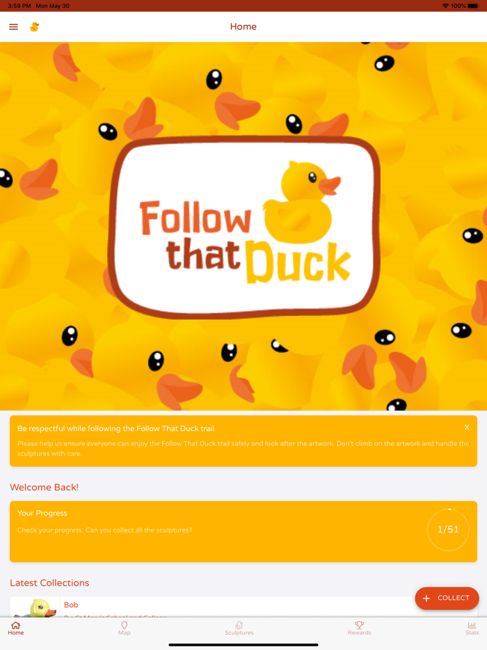 Follow That Duck