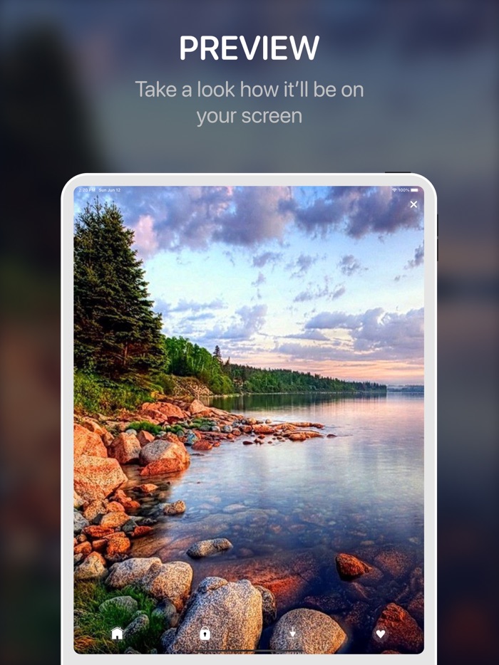 Live Wallpapers ๏ Backgrounds