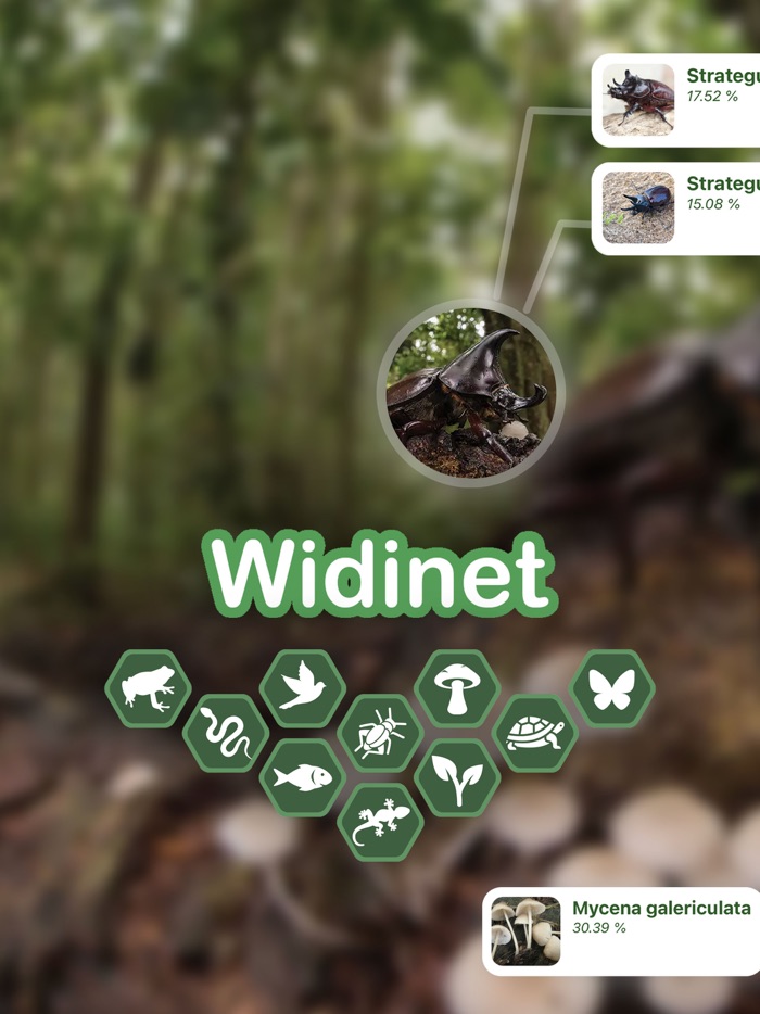 Widinet ID - Natural scanner