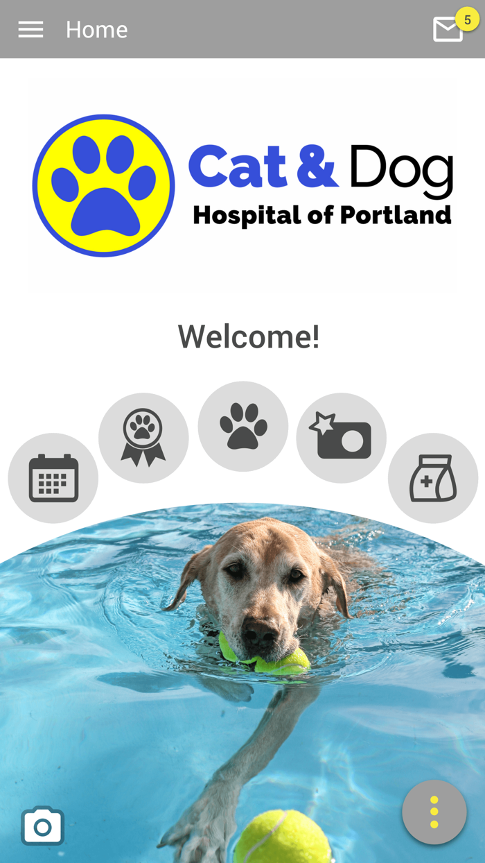 Cat  Dog Hospital of Portland