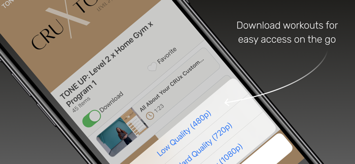 CRUx Custom Fitness Programs