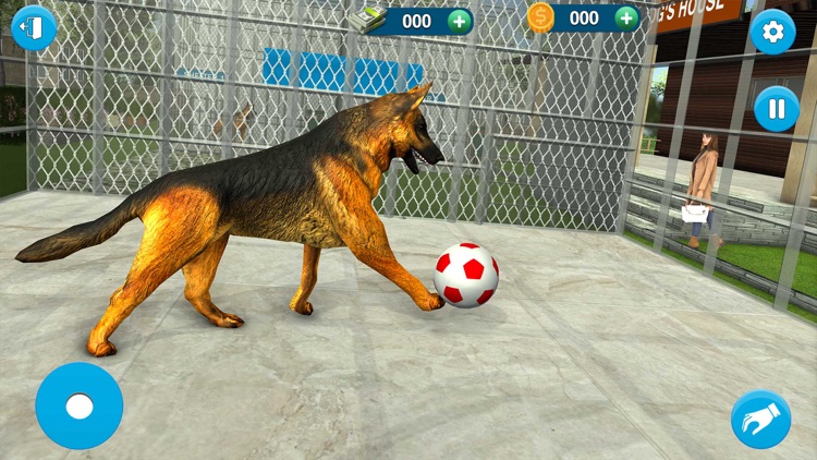 Animal Care Dog Shelter 3D screenshot-3