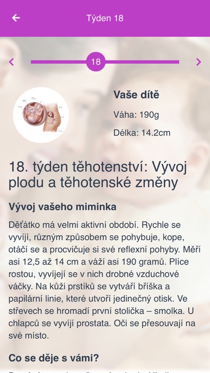 Moje těhotenství s Babywebem