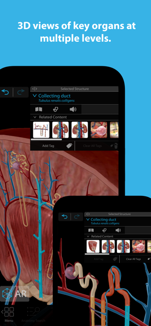 ‎Atlas de anatomía humana 2023 Captura de pantalla