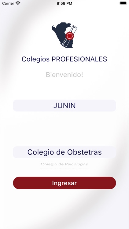 App Colegios Profesionales