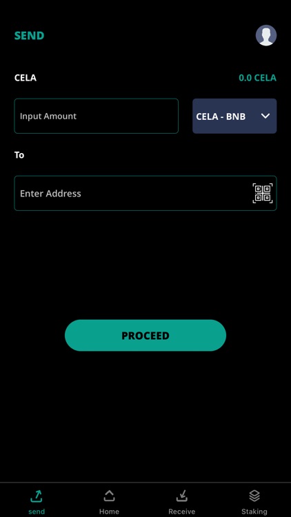 Celadon coin