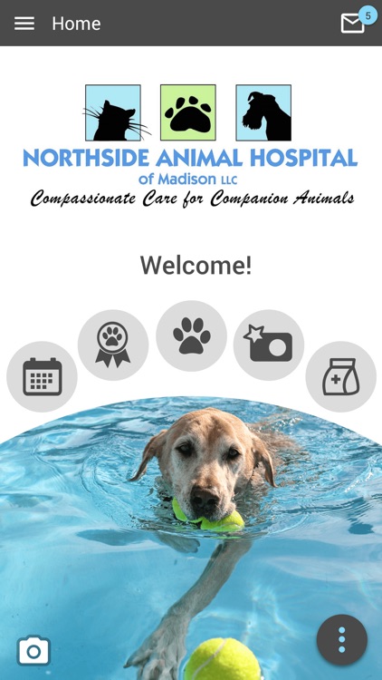 Northside Animal Vet