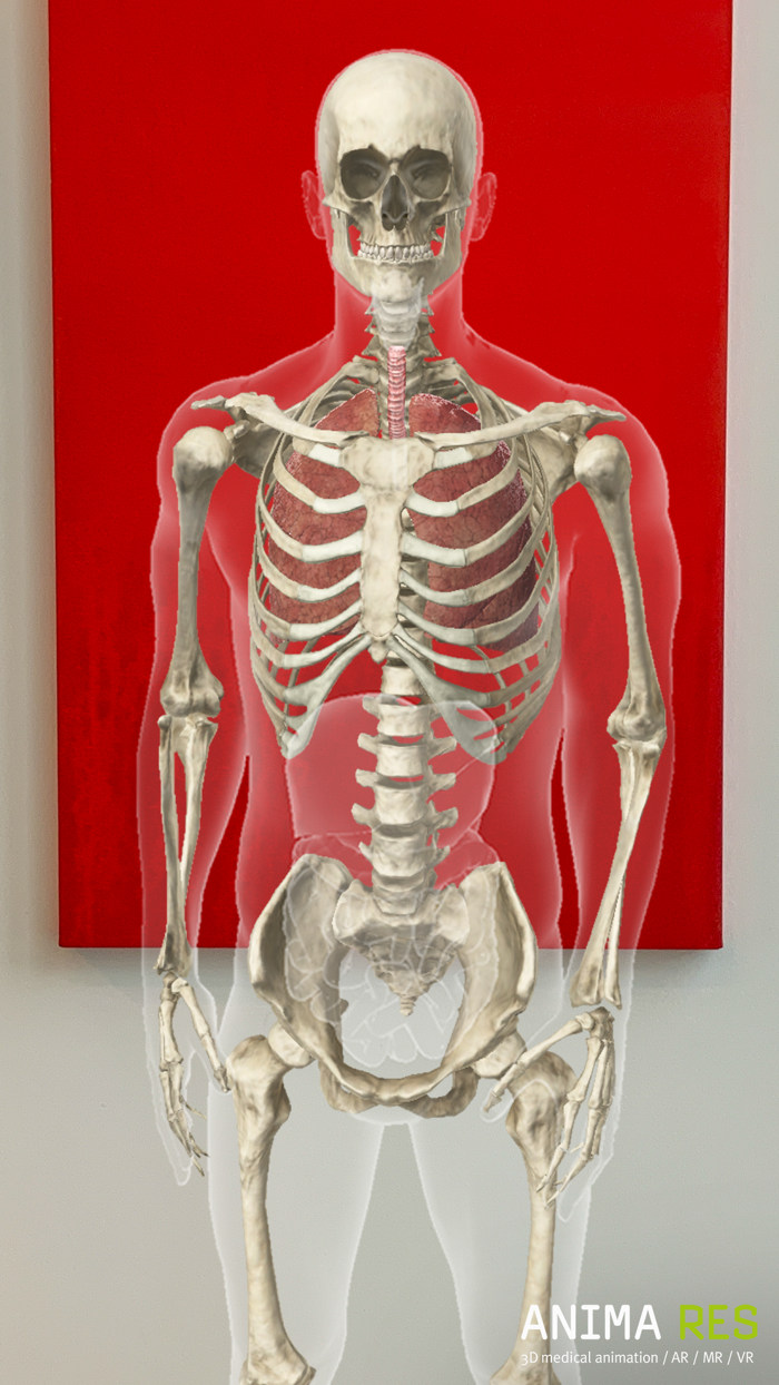 INSIGHT LUNG Enterprise