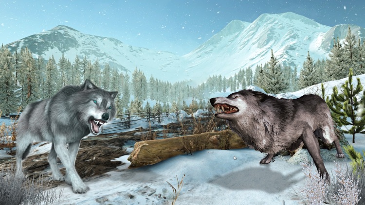 Wild Wolf 3d Animal Simulator screenshot-4