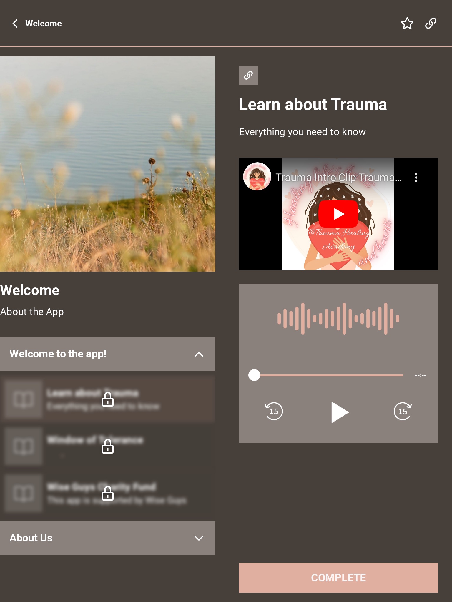 Trauma Healing Academy screenshot 4