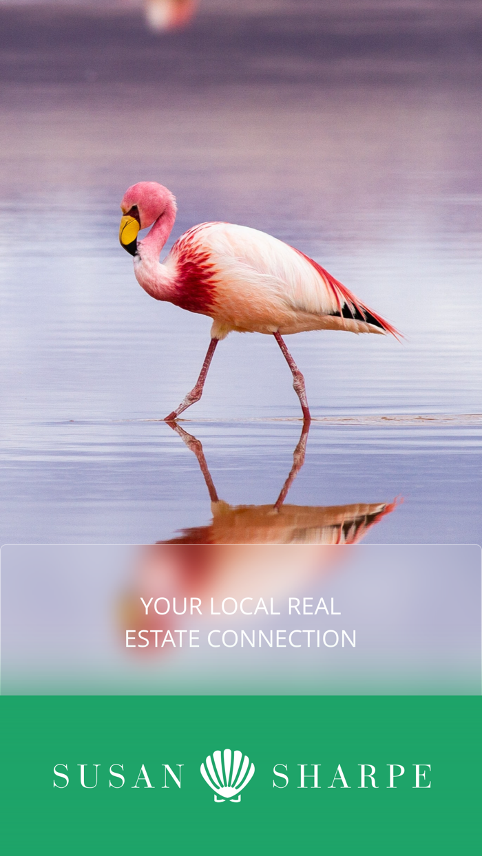 Susan R Sharpe-Florida Realtor