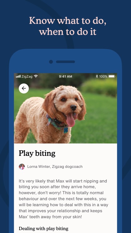 Zigzag Puppy Training App screenshot-5