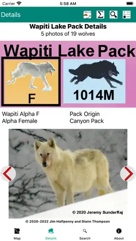 Game screenshot Yellowstone Wolves 2020 hack