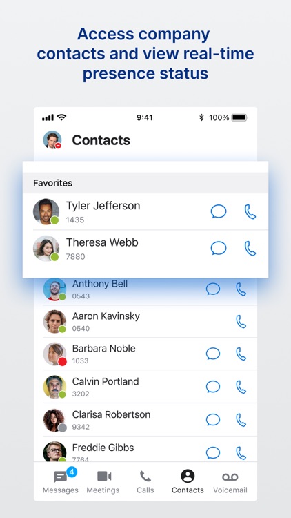 UNIVERGE BLUE™ CONNECT screenshot-3