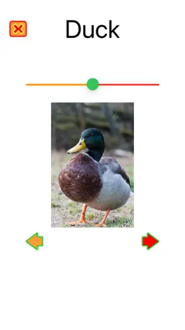 Game screenshot Animal Names and Sounds apk