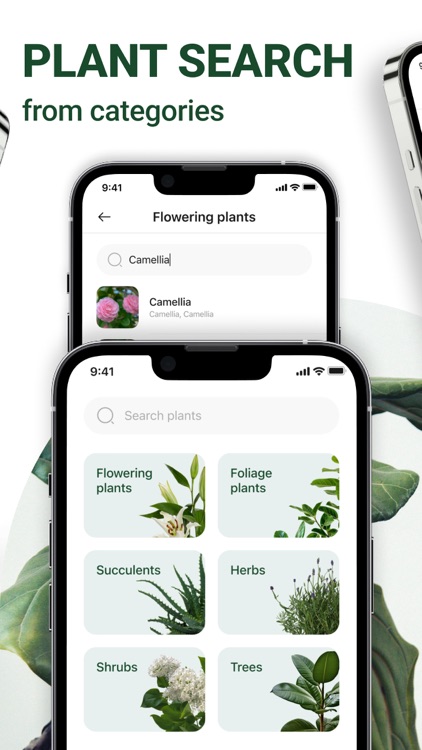 Plant Identification & Scanner