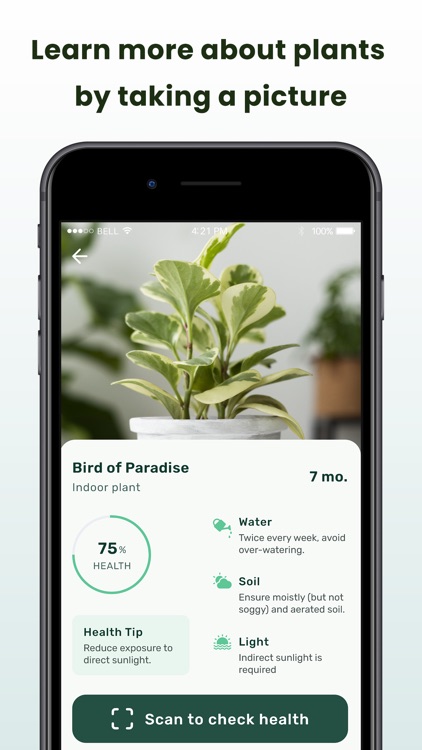 Nature ID-Plant Identification screenshot-4