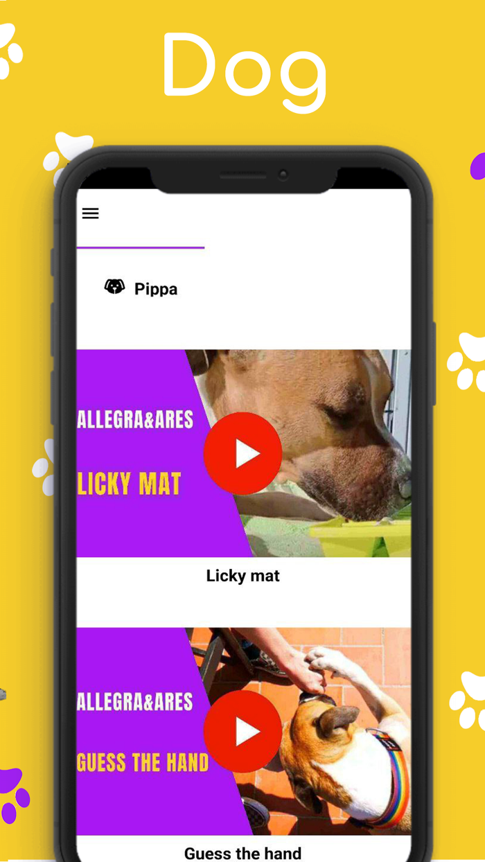 Geppaw Dog Enrichment Academy