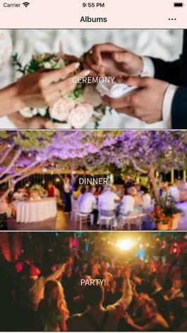 Game screenshot Wedding gallery hack