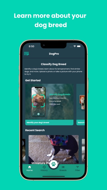 DogPro - Dog Profiling