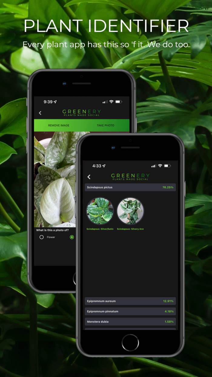 Greenery Plants Made Social