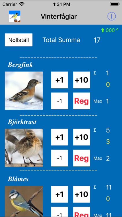 Vinterfåglar inpå knuten