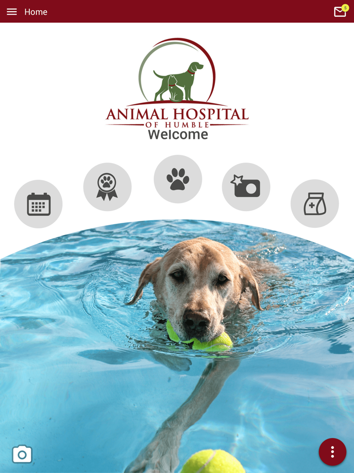 Animal Hospital of Humble