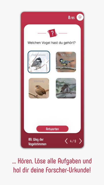 Themenwege Hainfeld screenshot-6