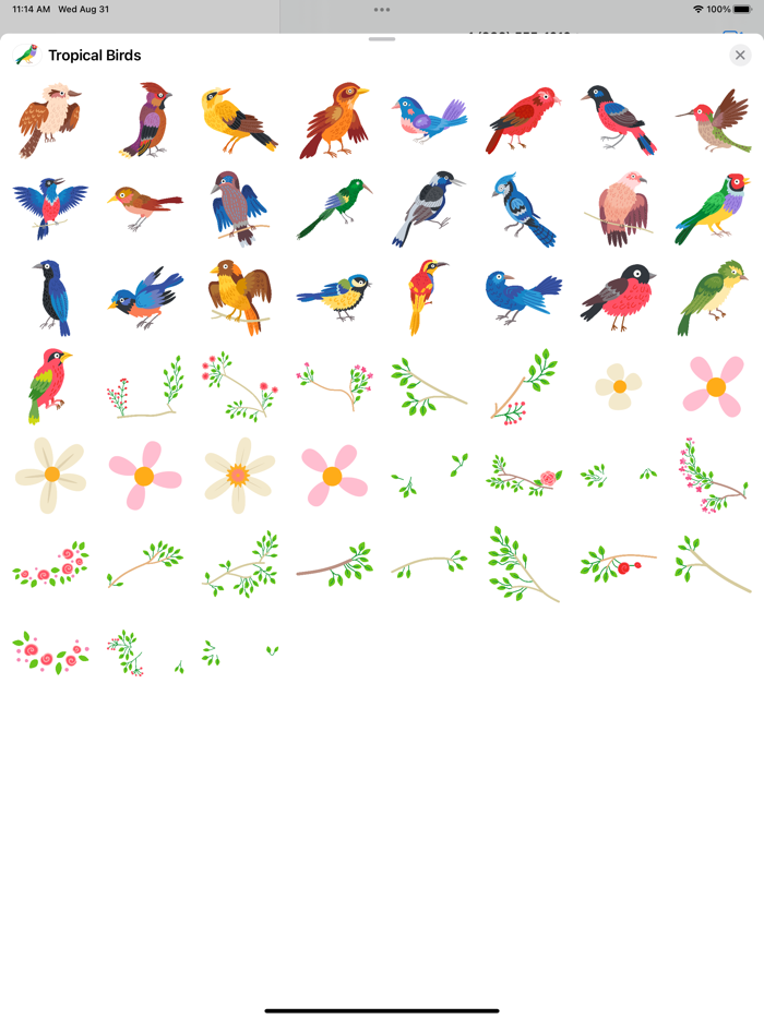 Tropical Birds, Plants, Flower