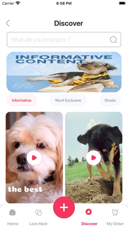 Woof - My Best Buddy