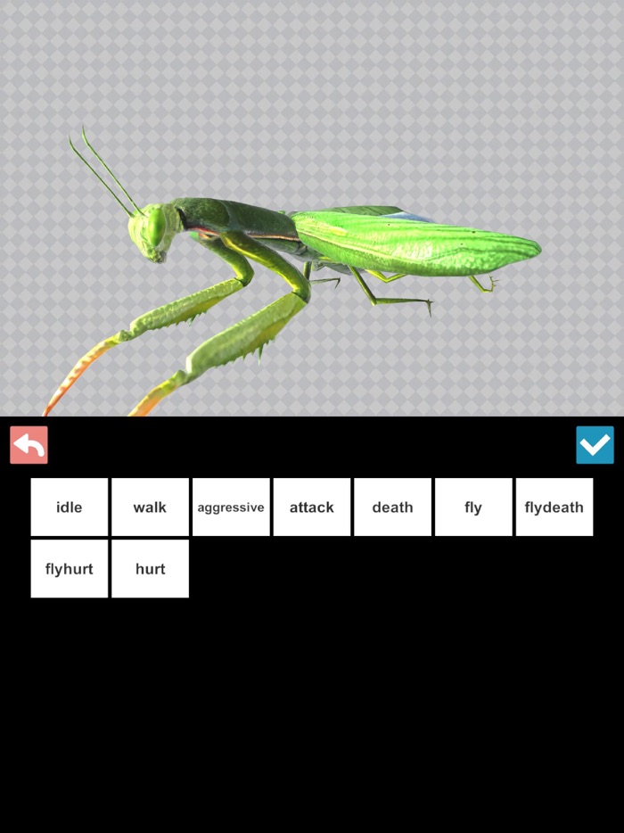 Insect 3D Reference