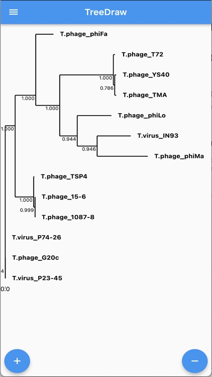 Phylogenetic Tree Draw