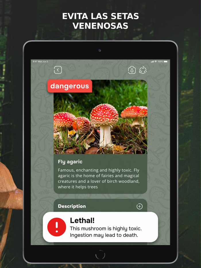 Mushroom Identification ID App