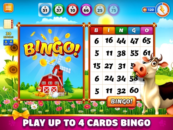 Pet Bingo: Bingo Game 2022 screenshot 3
