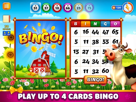 Pet Bingo: Bingo Game 2024 screenshot 3