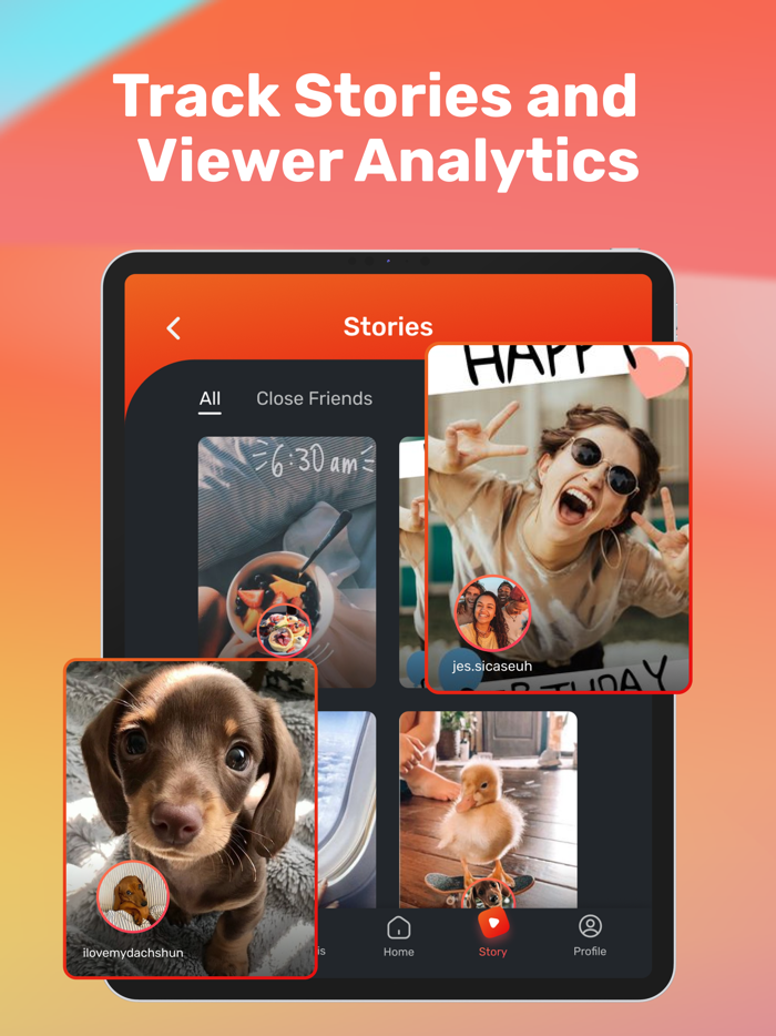 iViews - Followers Tracker