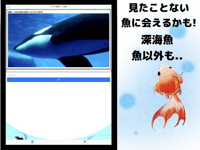 魚名前当てクイズ 魚図鑑 海の生き物検定