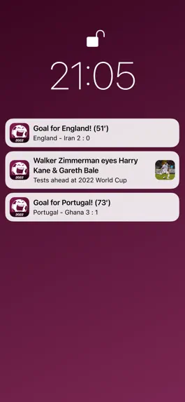 Game screenshot World Cup App 2022 apk