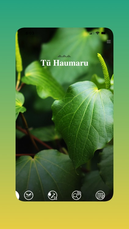 Tū Haumaru