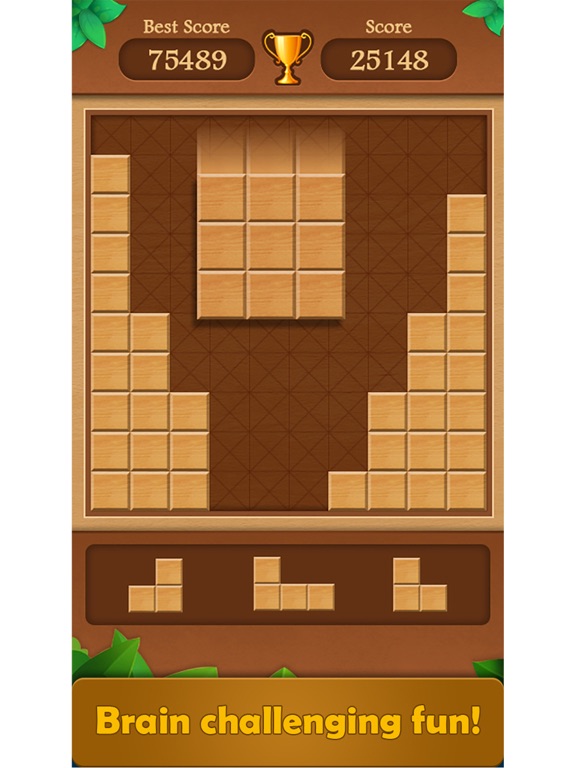 Wood Block Puzzle Game 2022 screenshot 3