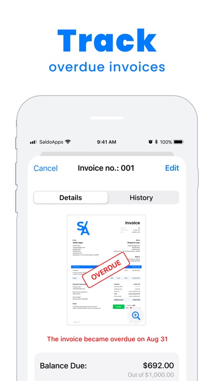 Invoice Maker by Saldo Apps screenshot-2