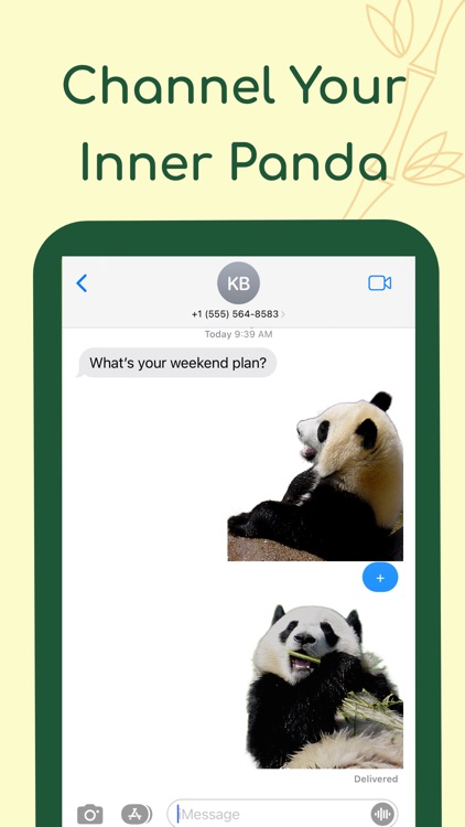 Real Panda Stickers