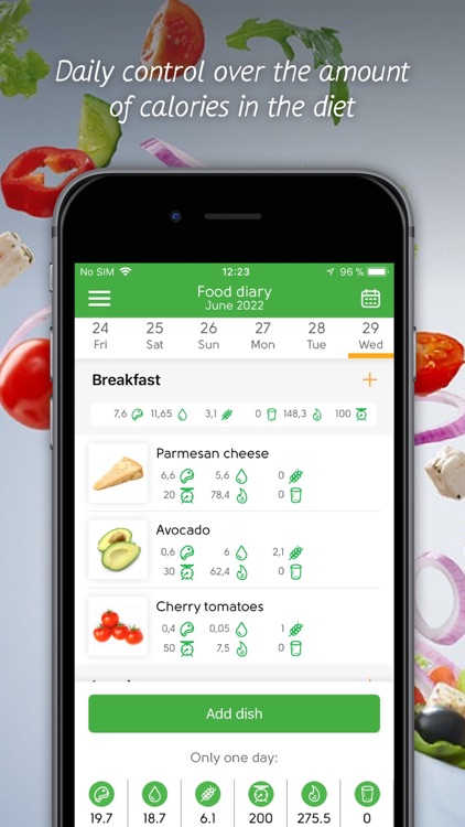 Slimming food diary, recipes