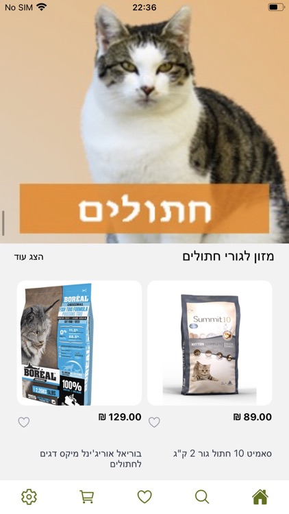 קן התוכי