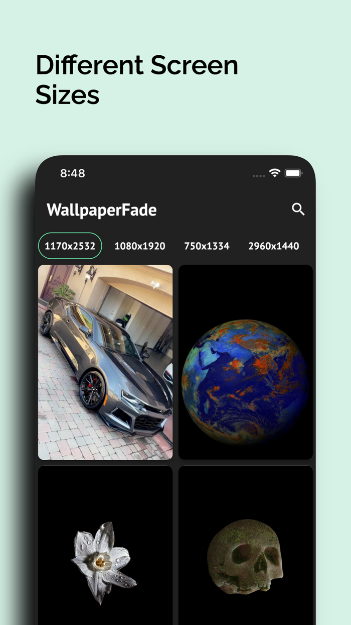 Wallpaper Dope HD Wallpapers