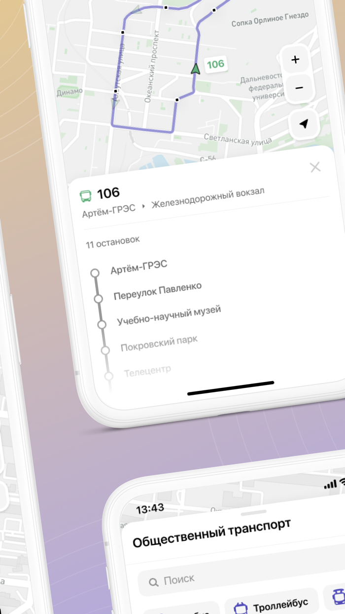 Цифровое Приморье