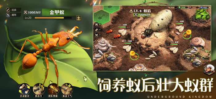 小小蚁国真实蚂蚁世界